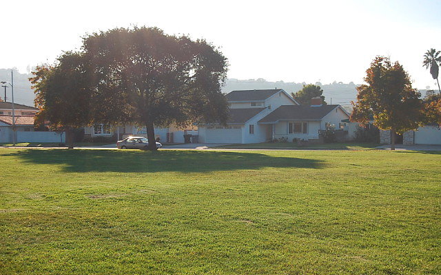DSC 0541