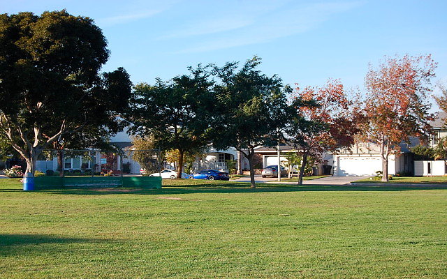 DSC 0562