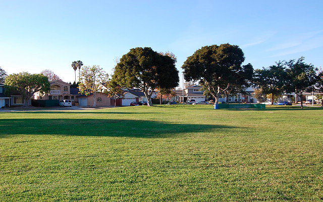 DSC 0559