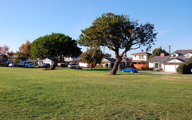 DSC 0536