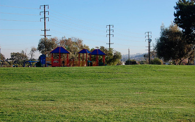 DSC 0550