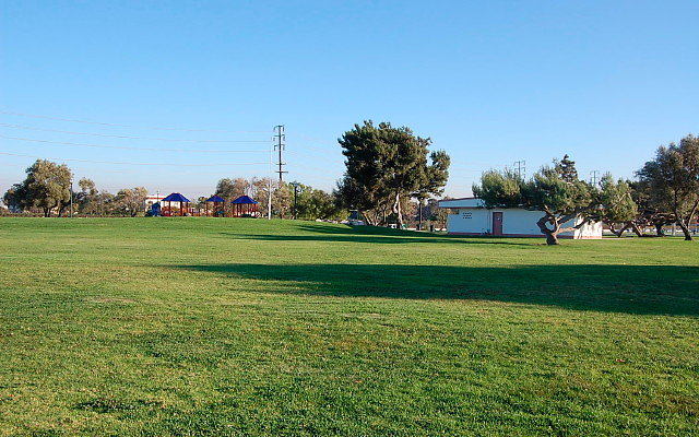 DSC 0555