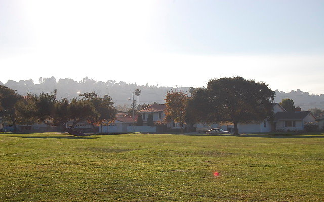DSC 0537
