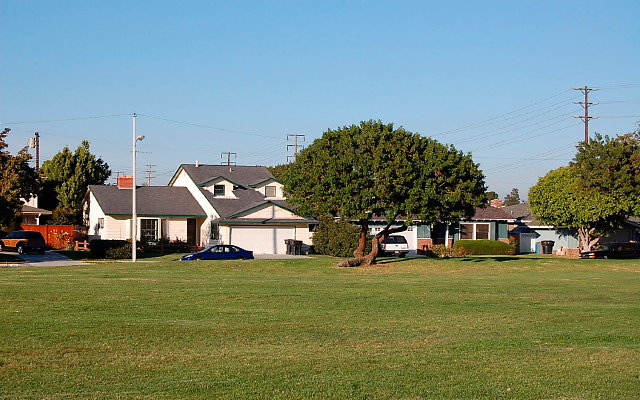 DSC 0564