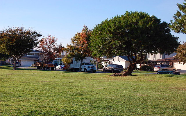 DSC 0539
