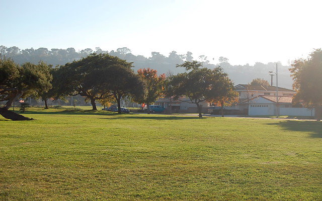 DSC 0552