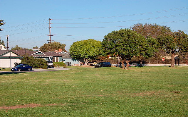 DSC 0556