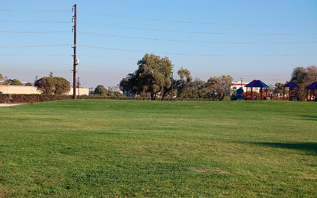 DSC 0558