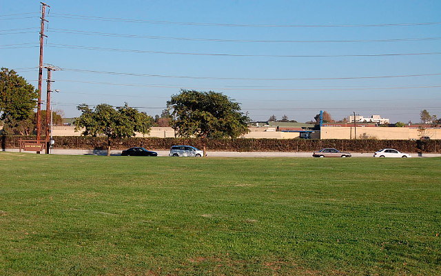 DSC 0557