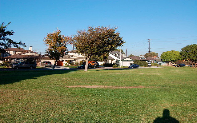 DSC 0553