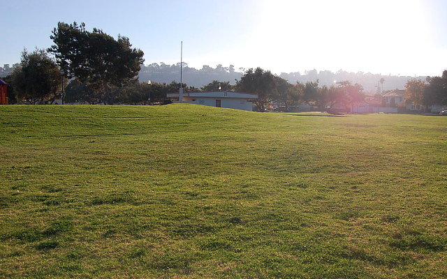 DSC 0534