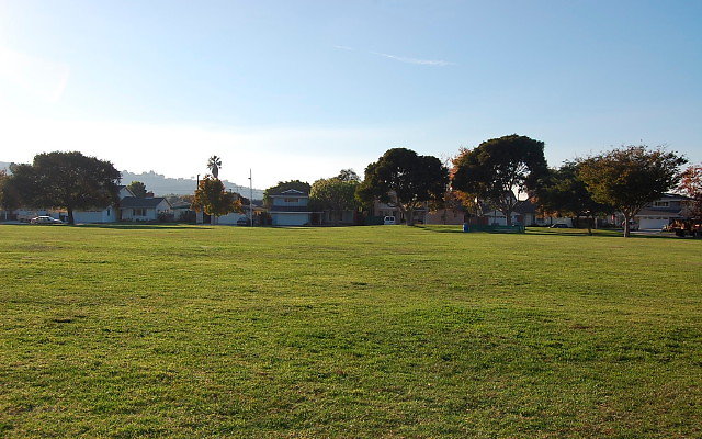 DSC 0535