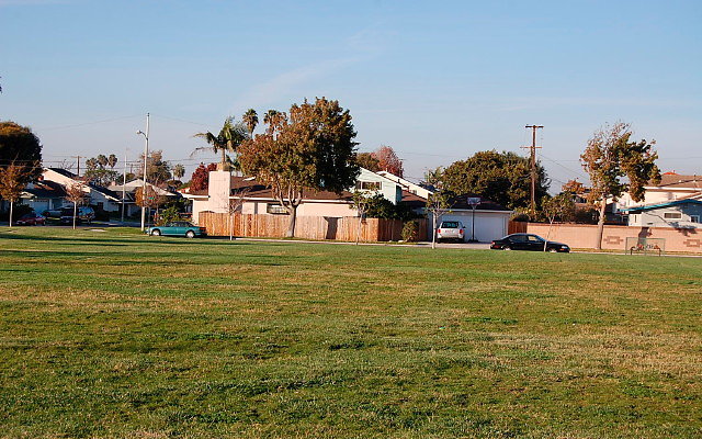 DSC 0579