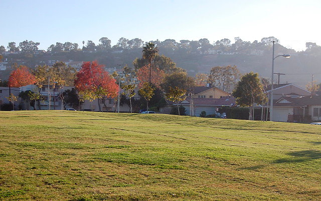 DSC 0598