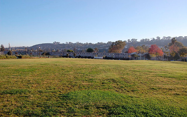 DSC 0594