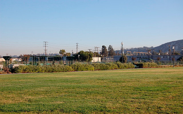 DSC 0596