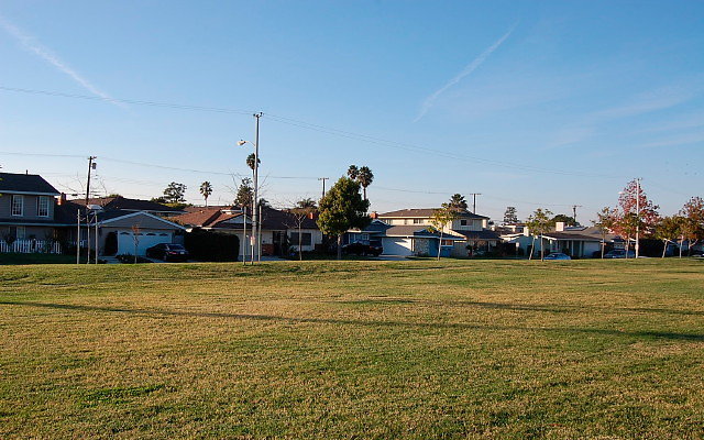 DSC 0603