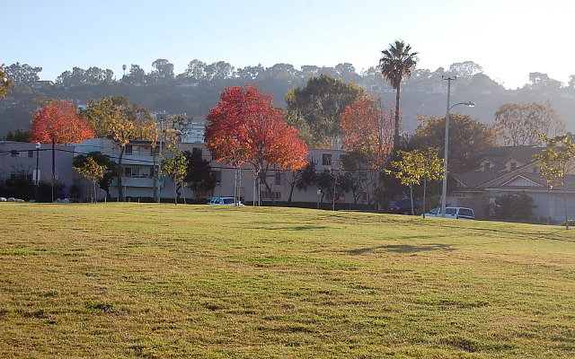 DSC 0586