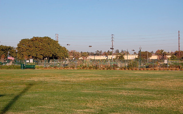 DSC 0590