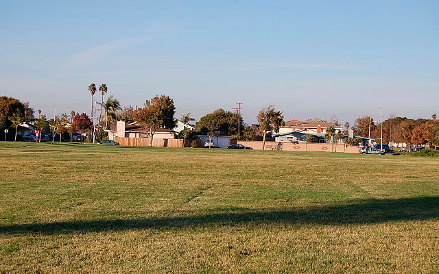 DSC 0607