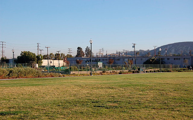 DSC 0584