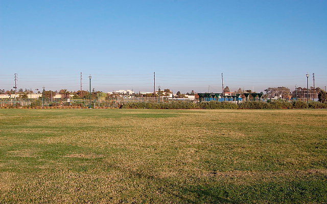 DSC 0588