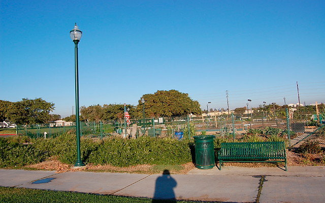 DSC 0600