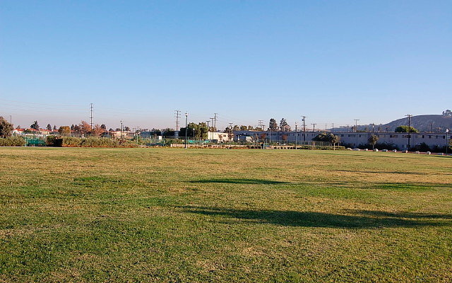 DSC 0589