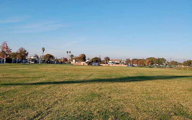 DSC 0604