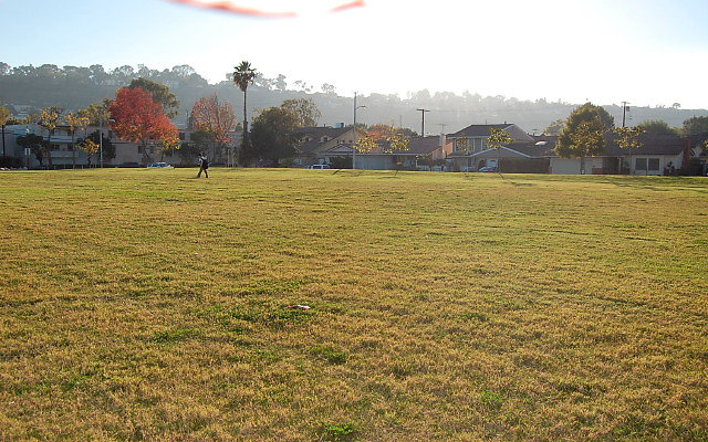 DSC 0569