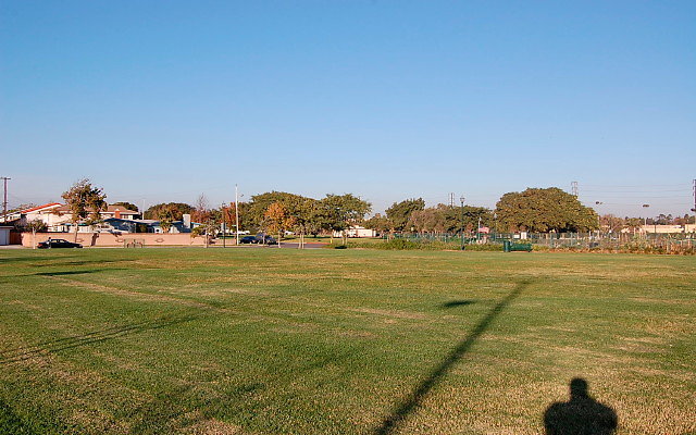 DSC 0587