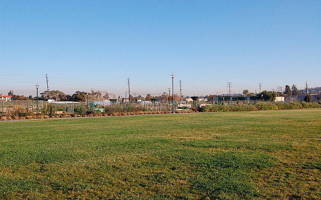 DSC 0593