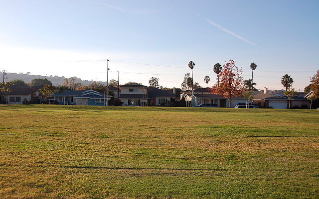 DSC 0570