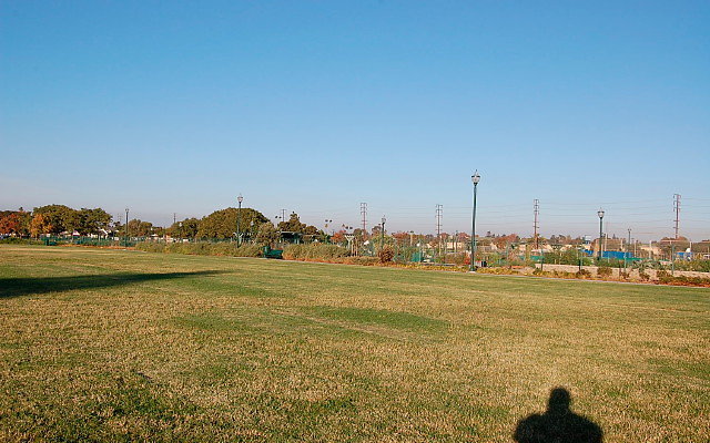 DSC 0605