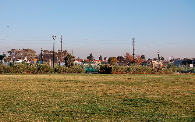 DSC 0592