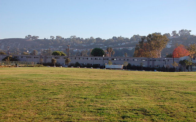 DSC 0597