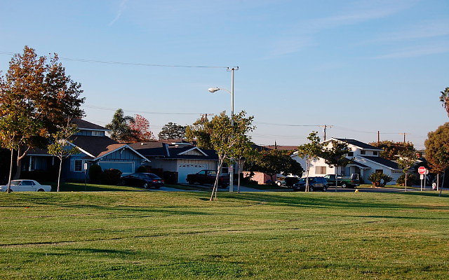 DSC 0578