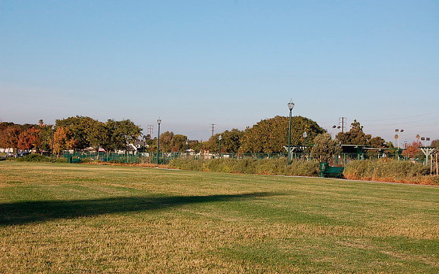 DSC 0608