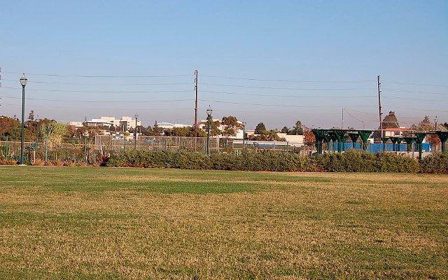 DSC 0591