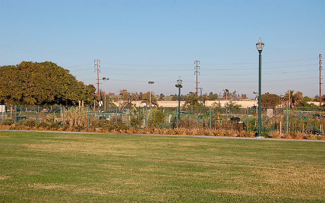 DSC 0581