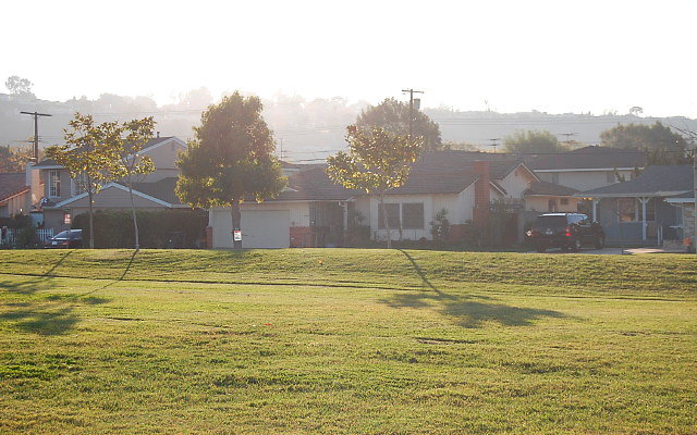 DSC 0575