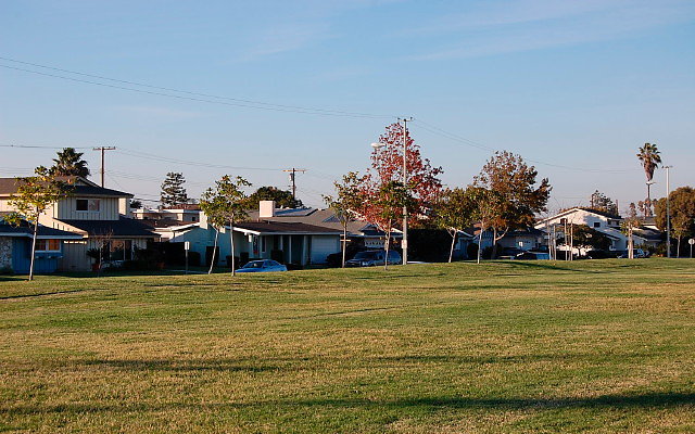 DSC 0606