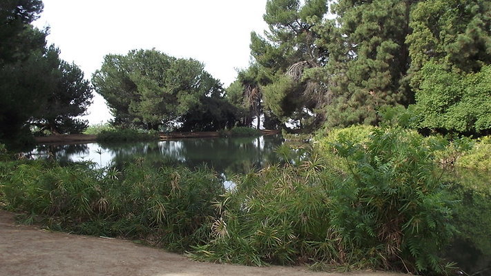 Ernest Debs Park Lake