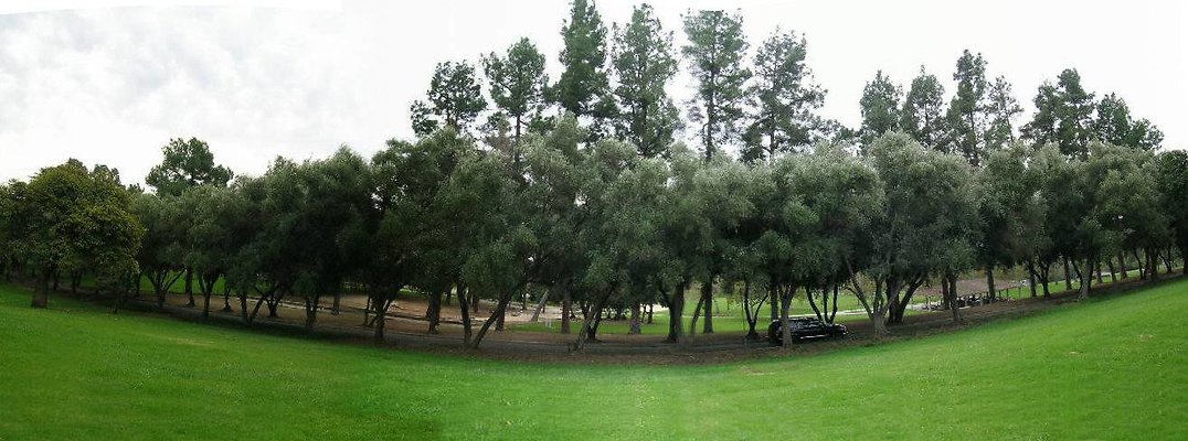 21.Veterans.Tree.Lined.Olive.Rd.Sylmar