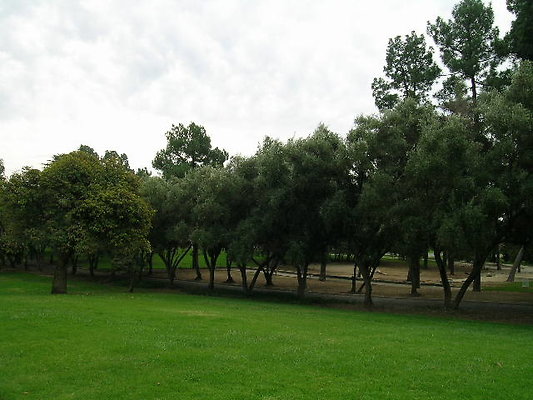 15.Veterans.Tree.Lined.Olive.Rd.Sylmar