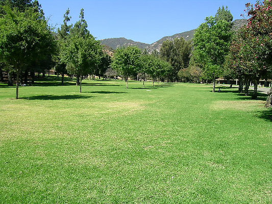 Veterans Park Green Fields.Sylmar