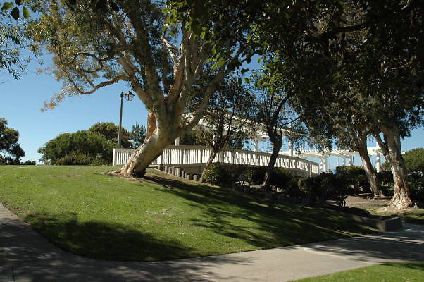 DSC 0143