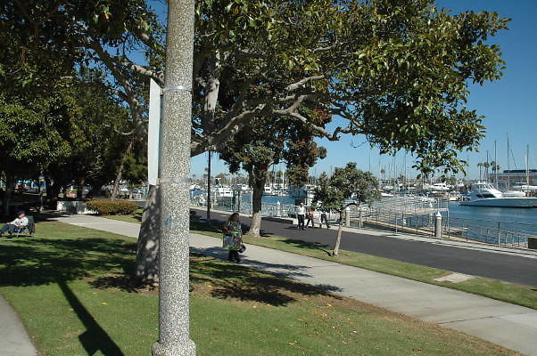 DSC 0138