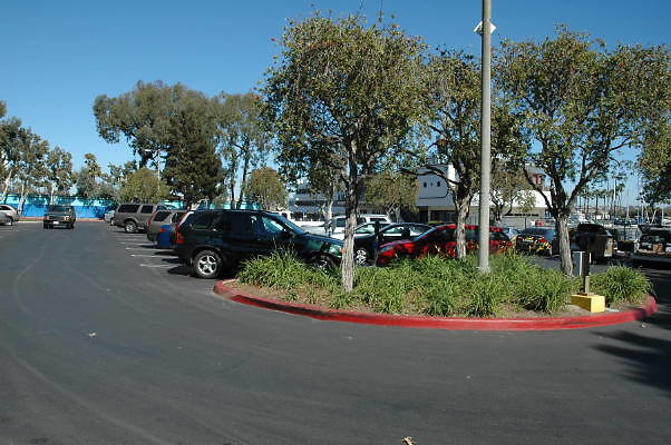 DSC 0118