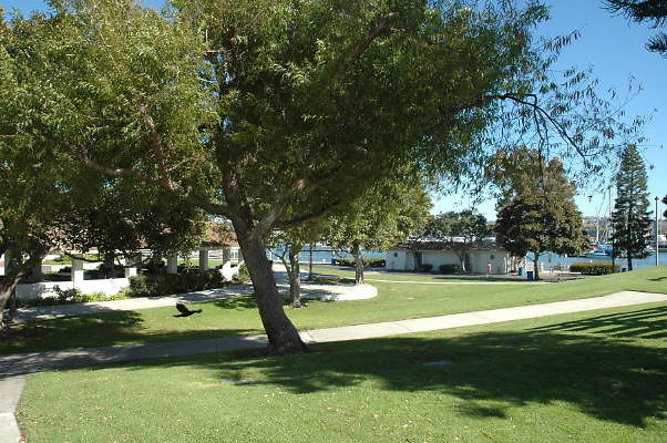 DSC 0146